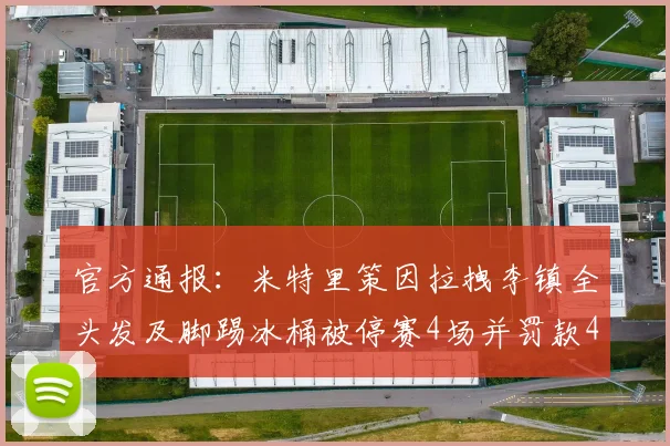 官方通报：米特里策因拉拽李镇全头发及脚踢冰桶被停赛4场并罚款4万元