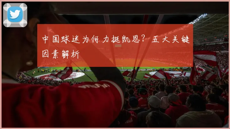 中国球迷为何力挺凯恩？五大关键因素解析